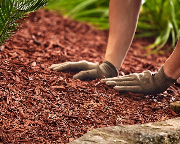 Color Enhanced Red Mulch - Image 2