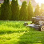 Four Keys to Consider When Mowing Your Lawn
