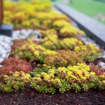 5 Tips For Late Summer Landscaping