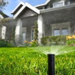 Easy Steps for Summer Lawn Watering