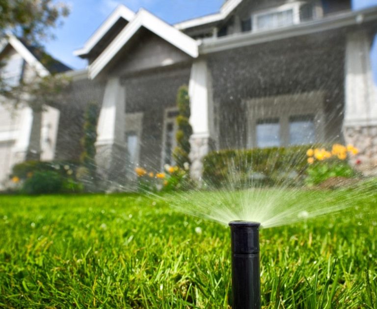 ctEasy Steps for Summer Lawn Watering