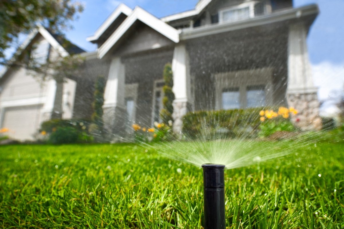 Easy Steps for Summer Lawn Watering Complete Turf